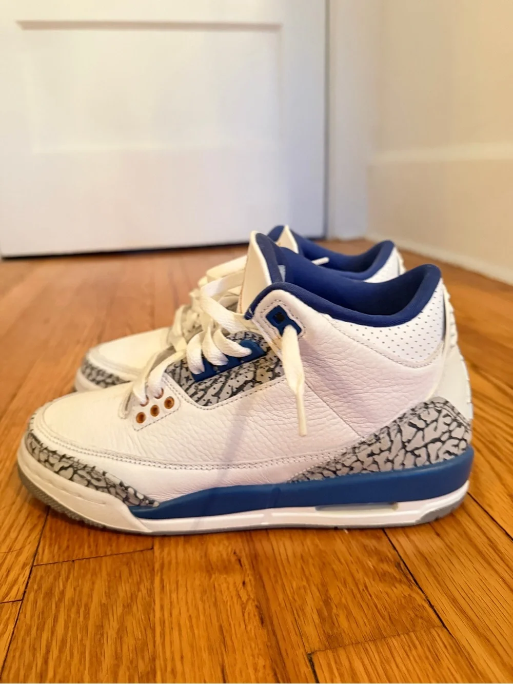 Youth Jordan 3 True Blue